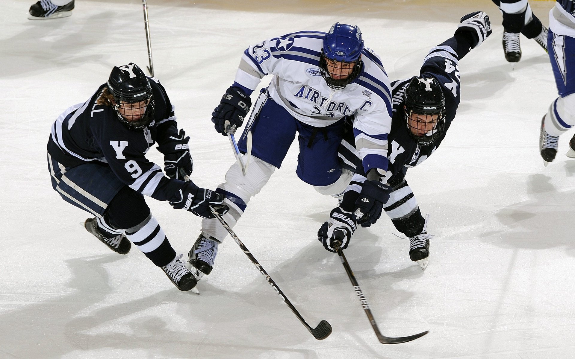 MK体育互动-体育自媒体联盟成立助力内容创作发展，体育领域自媒体哪个平台好