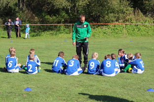 mk体育全站-意甲攻守大比拼：速度与战术的融合！，意甲战术强在哪里