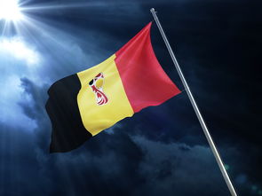 mk体育下载-英超强强对决:一场精彩纷呈的足球盛宴,英超强强对话